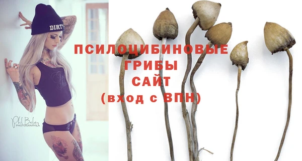 дурь Армянск