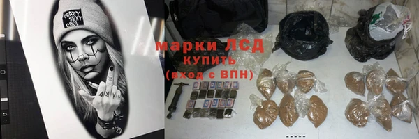 спиды Аркадак
