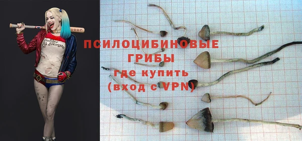 дурь Армянск
